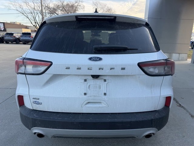 Used 2020 Ford Escape SE image 5