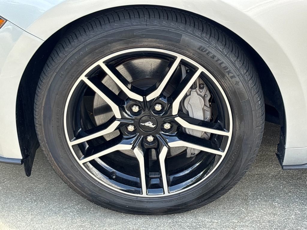 Used 2019 Ford Mustang GT Premium w/ Equipment Group 401A image 11