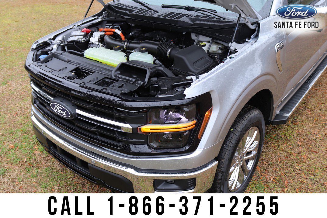 New 2025 Ford F150 XLT w/ Equipment Group 303A High image 20