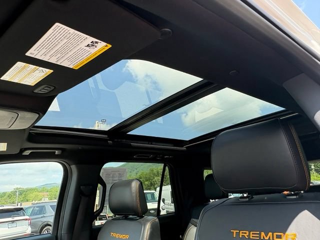 Used 2025 Ford Expedition Tremor AWD/4WD image 29