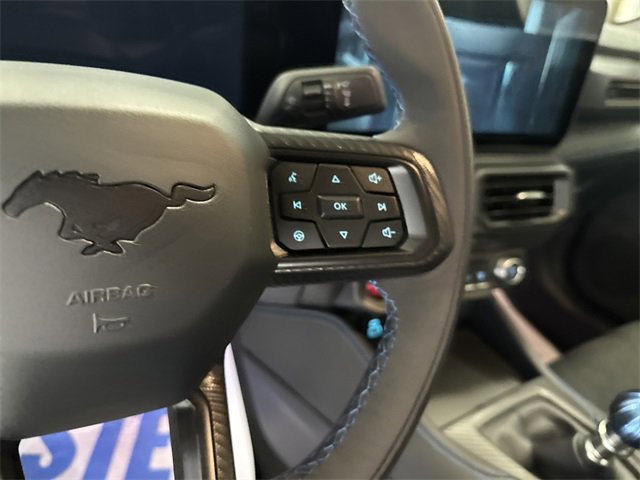 New 2025 Ford Mustang Dark Horse image 20