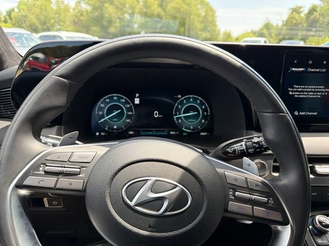 Used 2025 Hyundai Palisade Calligraphy AWD/4WD image 14