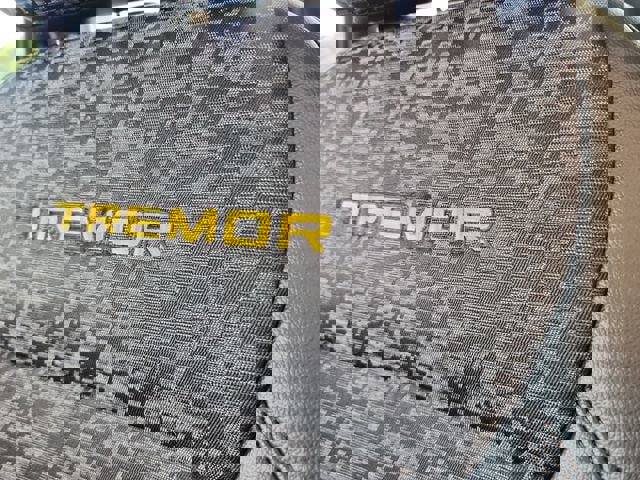 New 2025 Ford F150 Tremor image 16