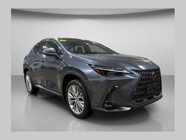 Used 2024 Lexus NX 350 AWD w/ Luxury Package image 1