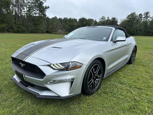 Used 2019 Ford Mustang Premium RWD image 4