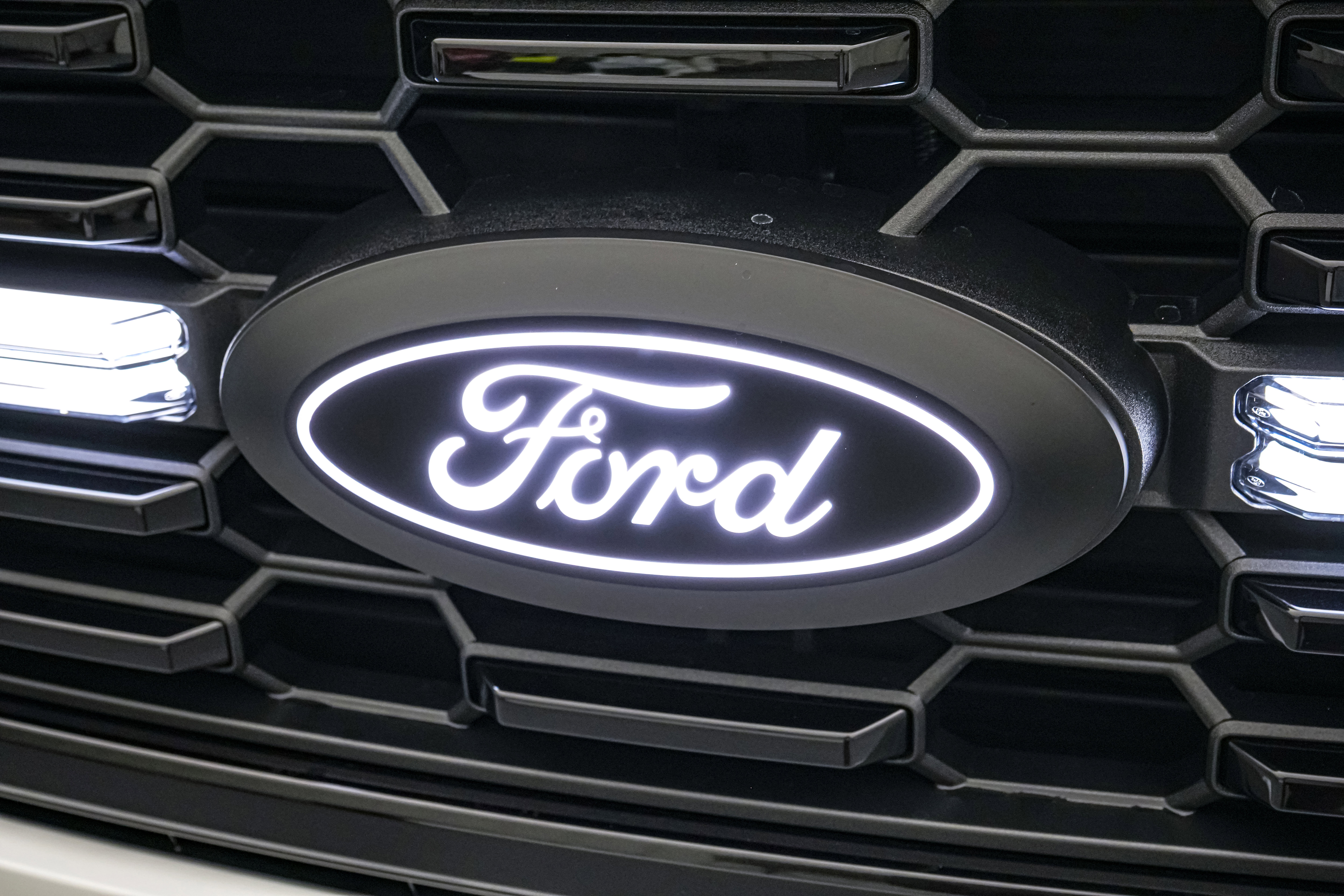 New 2025 Ford F150 STX w/ LOBO Package image 15