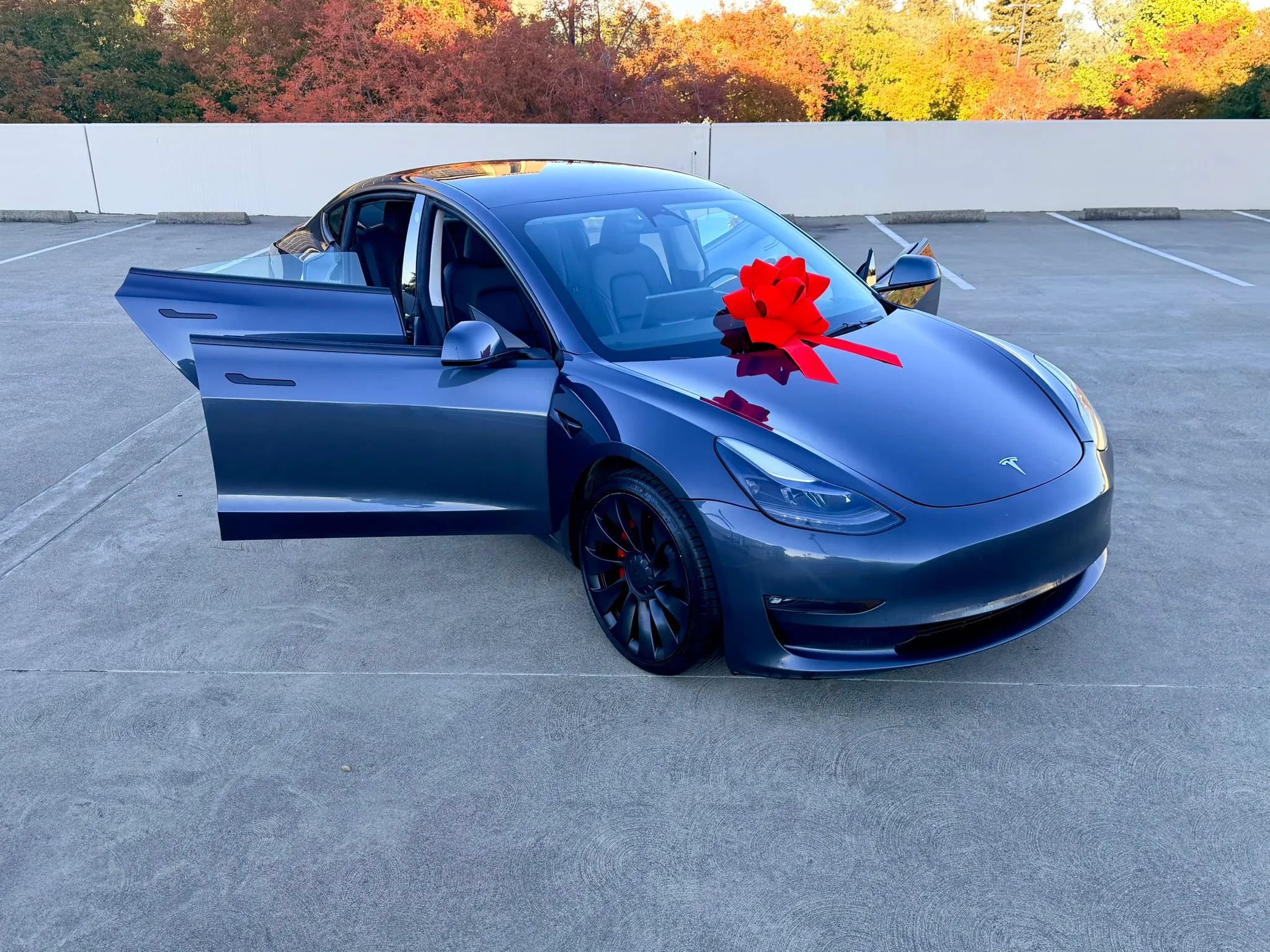 Used 2023 Tesla Model 3 Performance AWD/4WD image 37