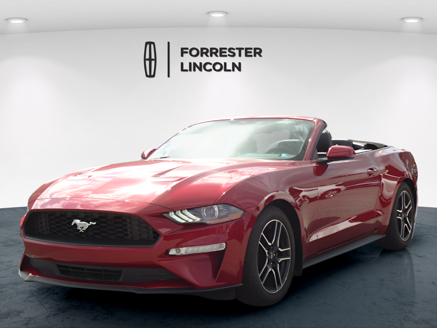 Used 2019 Ford Mustang Premium w/ Equipment Group 201A RWD image 7