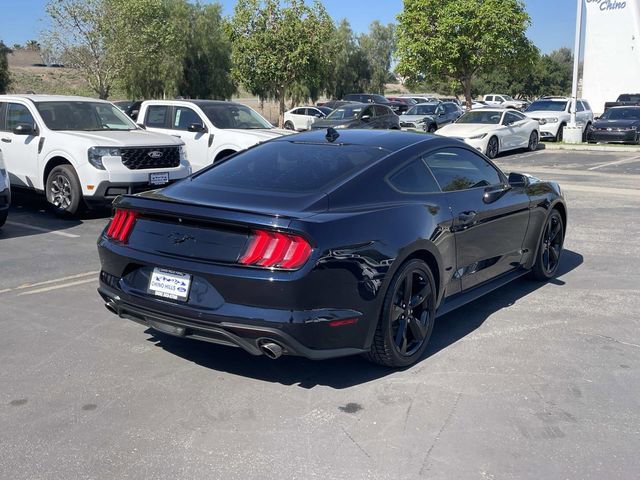 Used 2021 Ford Mustang EcoBoost w/ Equipment Group 101A image 5