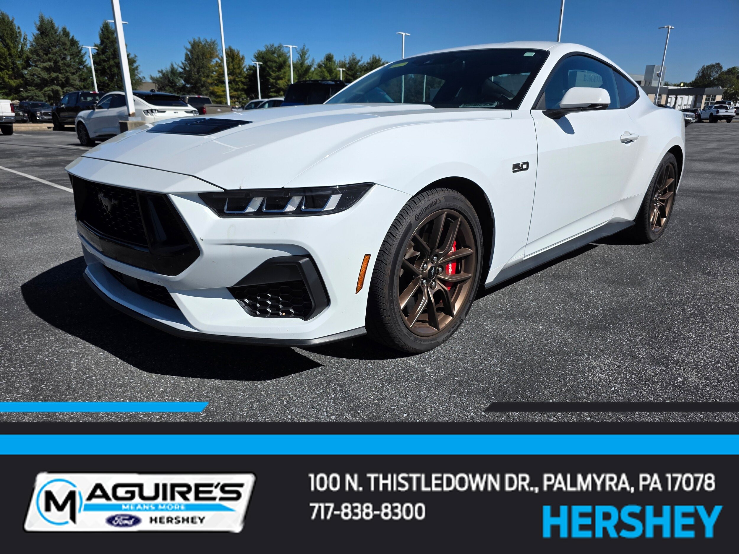 Used 2024 Ford Mustang GT Premium RWD image 1