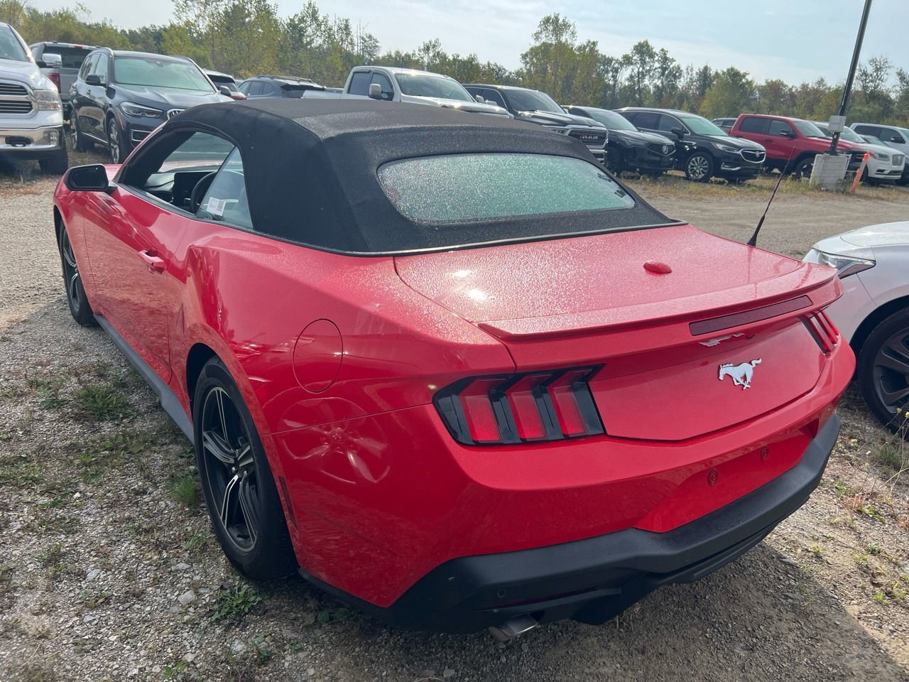 Used 2025 Ford Mustang Premium image 6