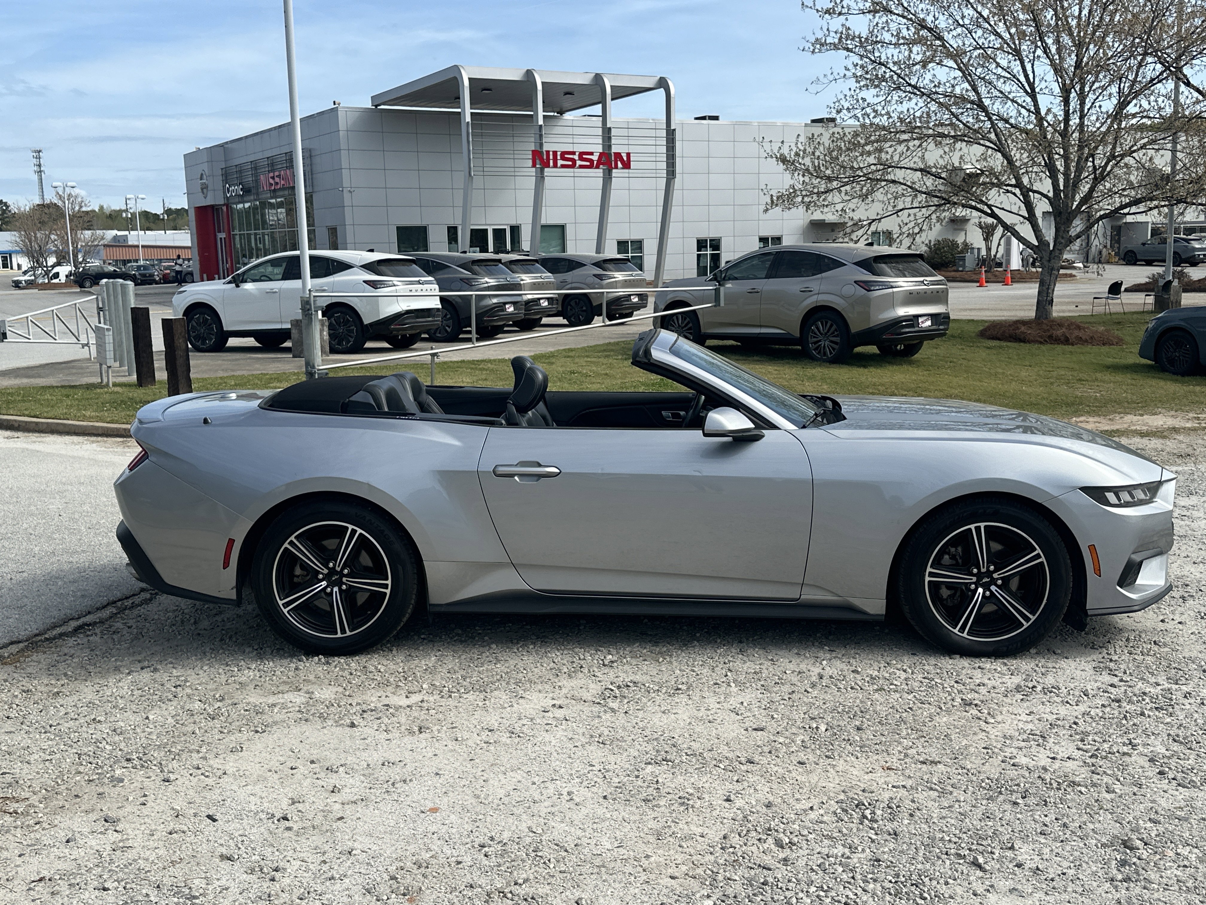 Used 2024 Ford Mustang Premium image 4