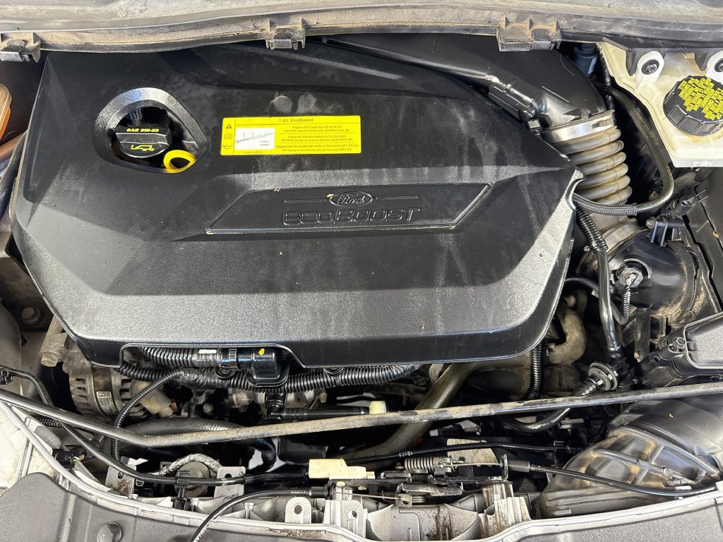 Used 2016 Ford Escape SE AWD/4WD image 31