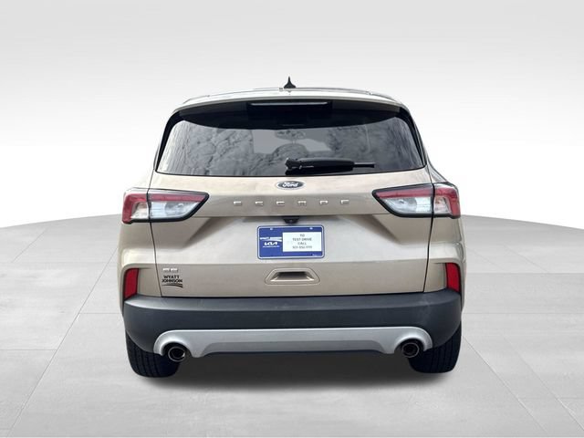 Used 2021 Ford Escape SE w/ Convenience Package FWD image 4