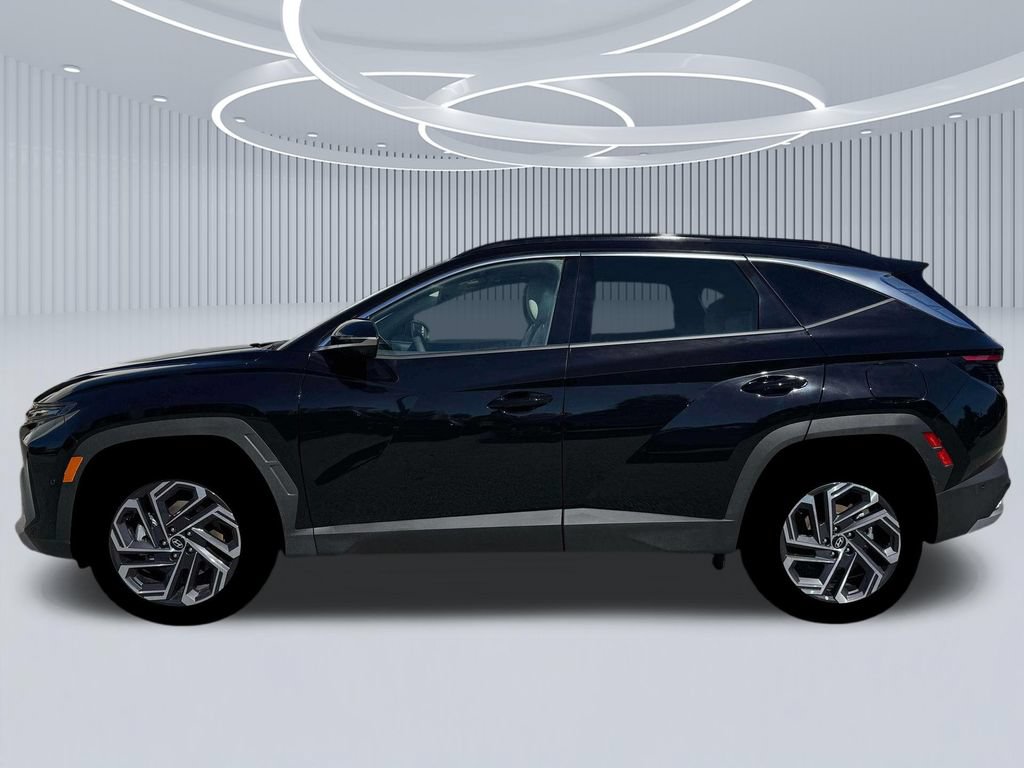 New 2026 Hyundai Tucson Limited AWD/4WD image 3