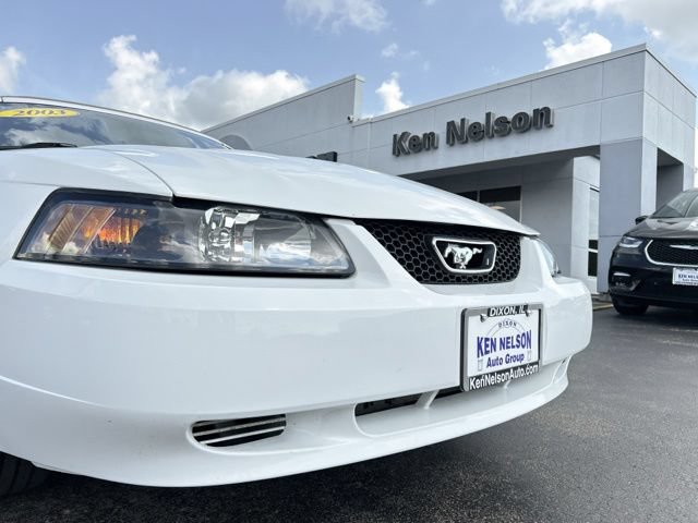 Used 2003 Ford Mustang Convertible RWD image 5