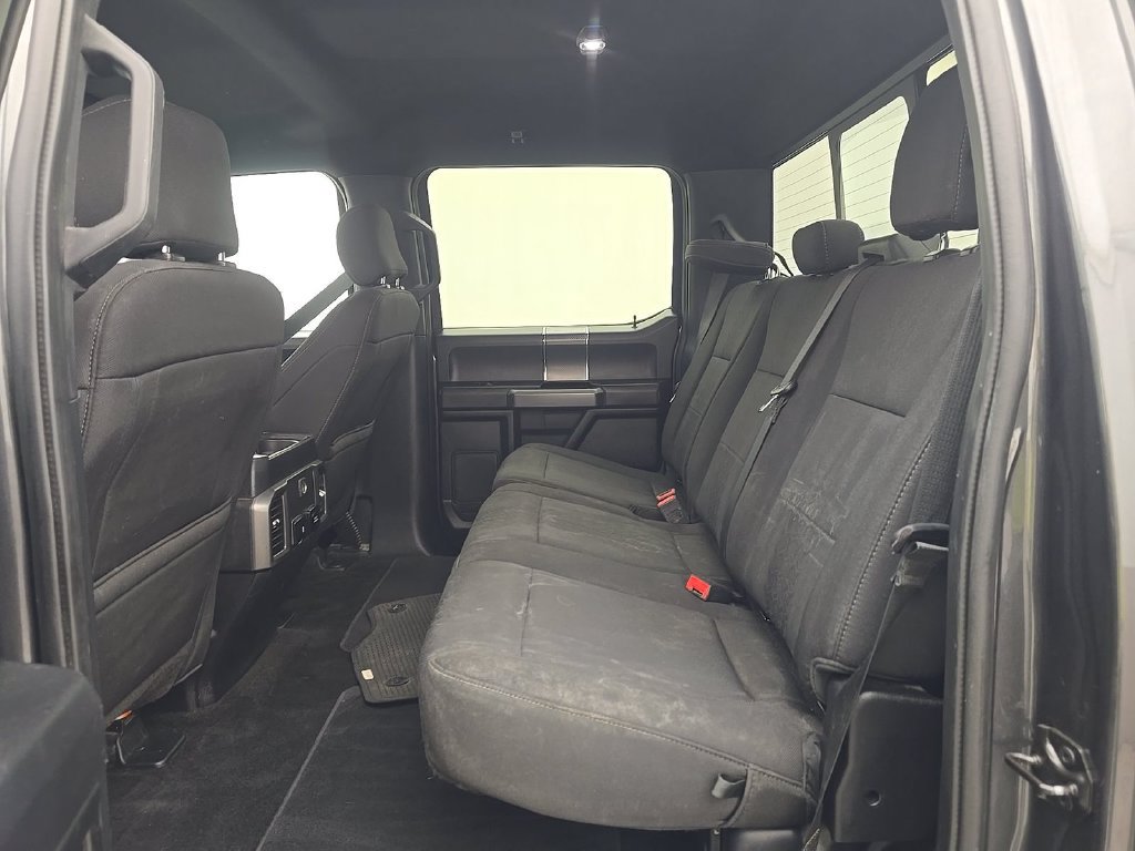 Used 2019 Ford F150 XLT w/ Equipment Group 302A Luxury AWD/4WD image 6
