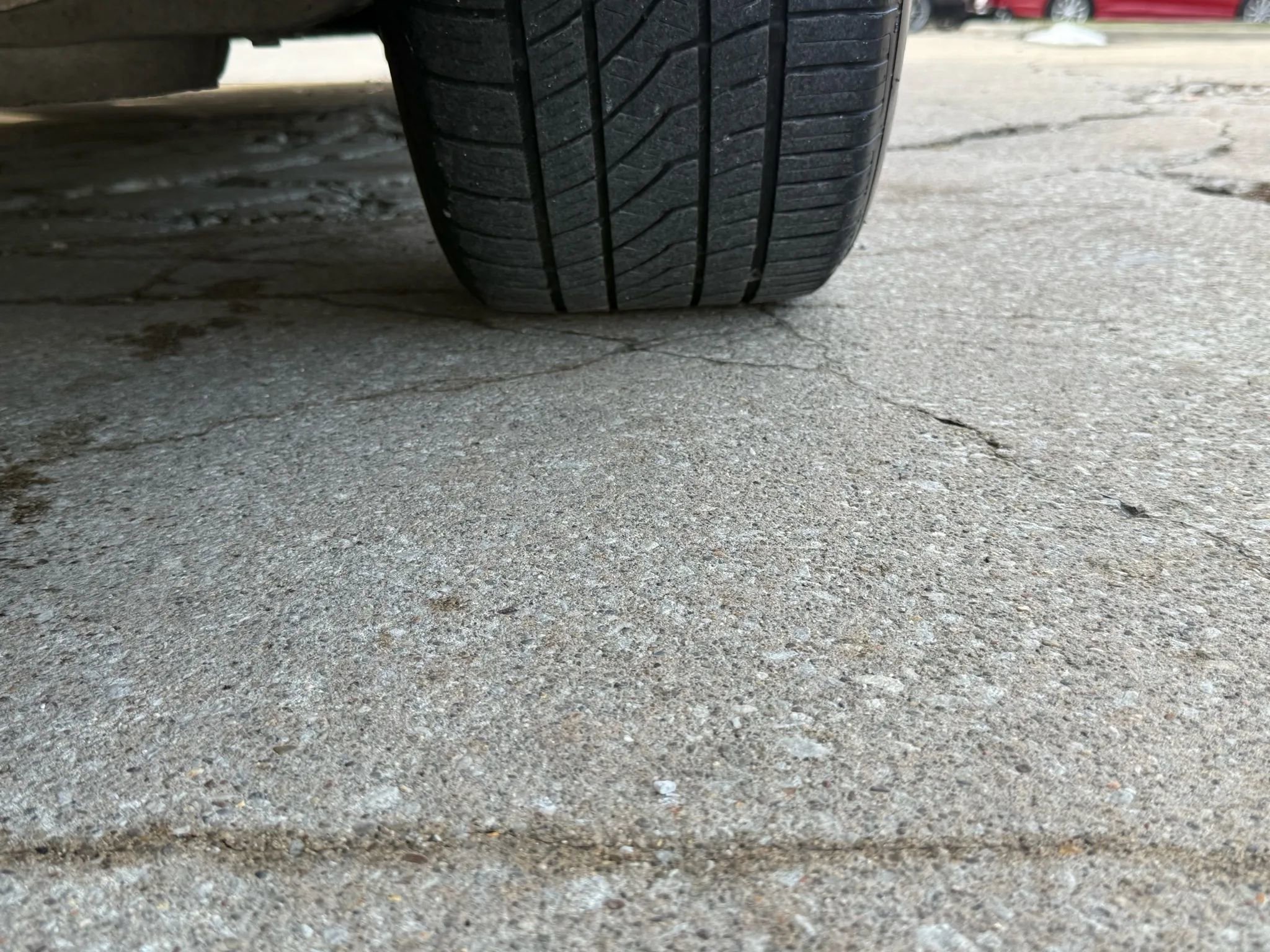 Used 2019 Ford Mustang Coupe w/ Equipment Group 101A image 41