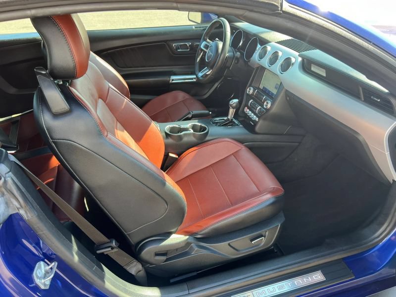 Used 2016 Ford Mustang Premium w/ Equipment Group 201A RWD image 7
