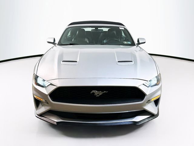 Used 2019 Ford Mustang Premium image 2