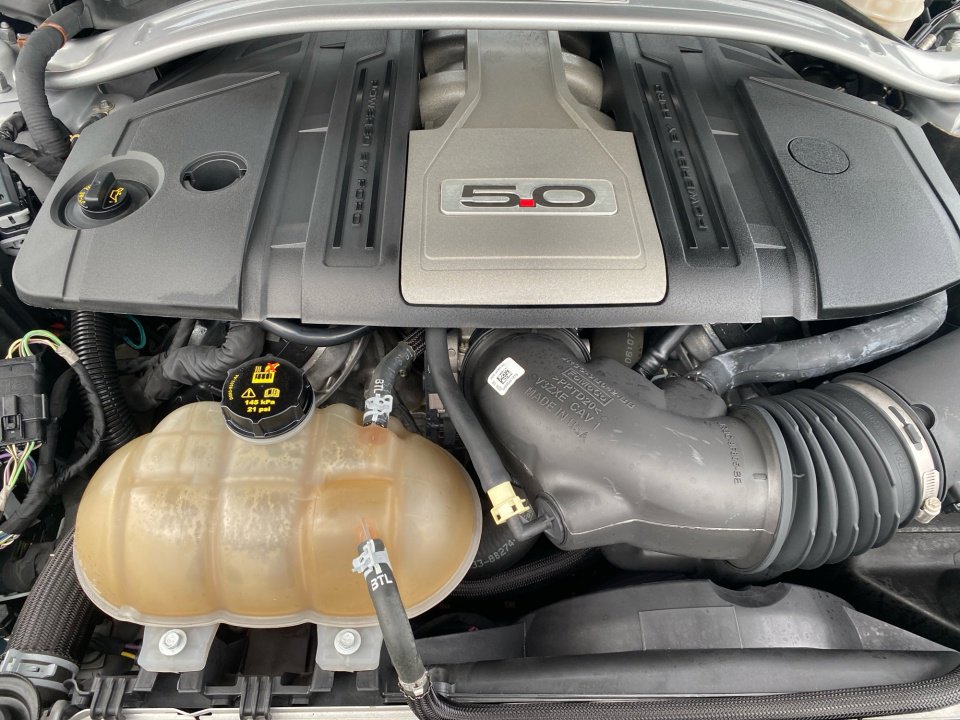 Used 2019 Ford Mustang GT Premium image 19