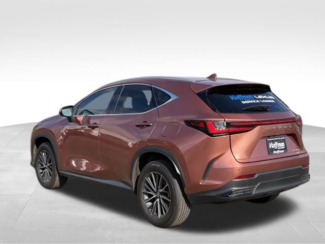 Used 2025 Lexus NX 350 AWD w/ Cold Area Package image 5