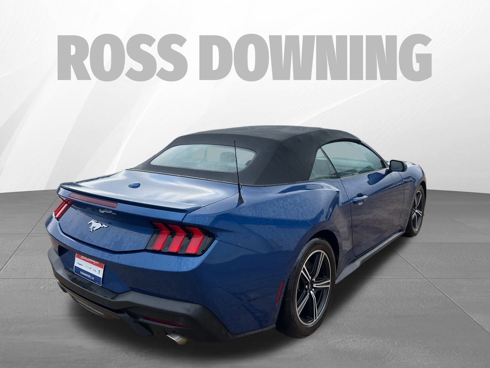 Used 2024 Ford Mustang Premium image 4
