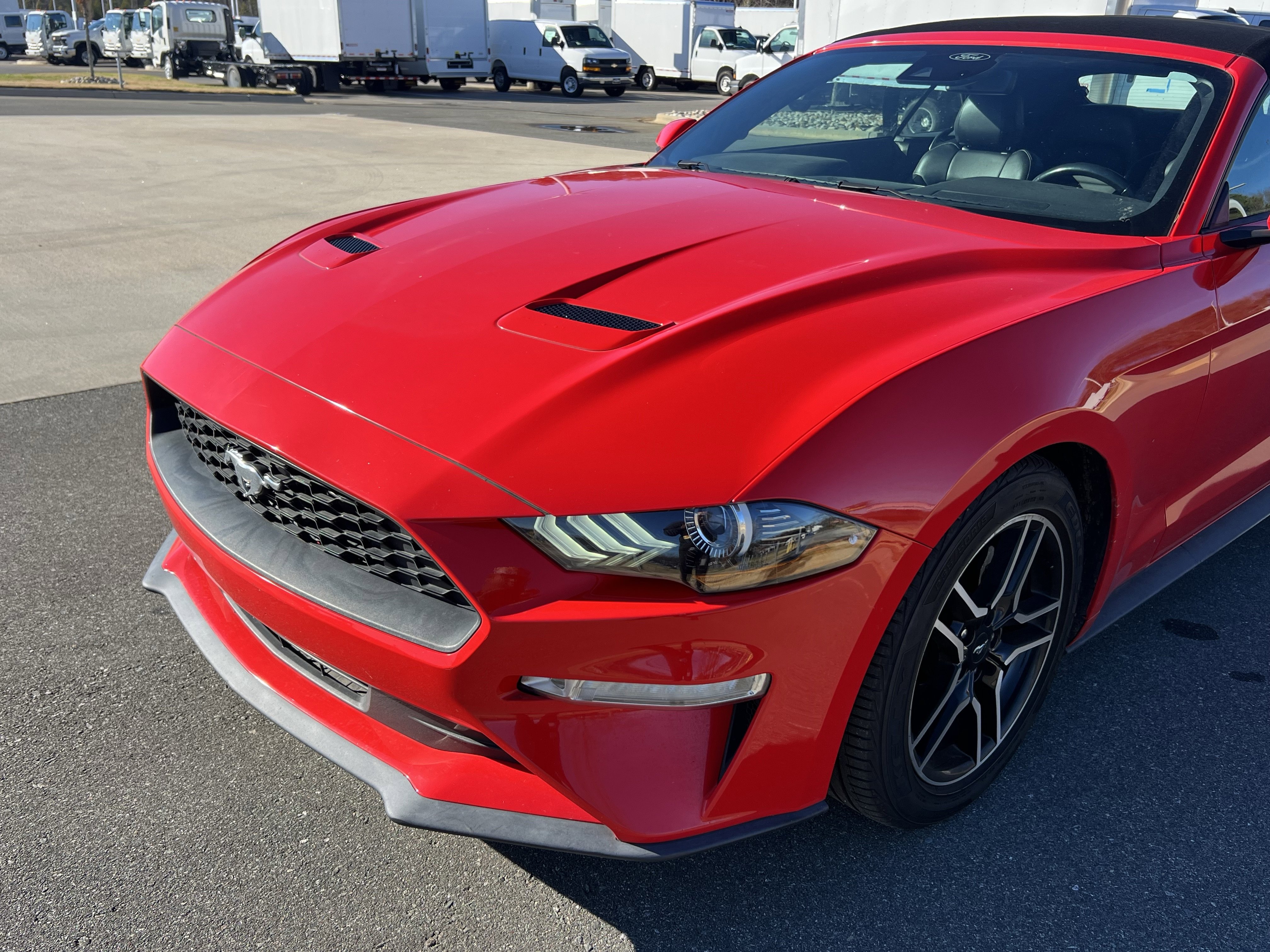 Used 2021 Ford Mustang Premium image 11