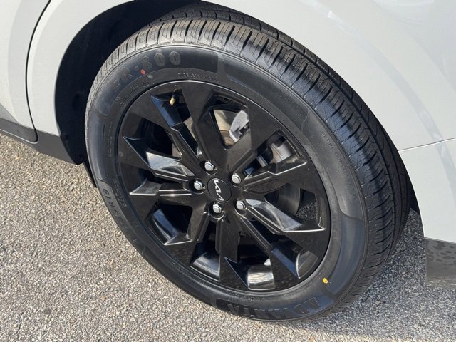 Certified 2024 Kia Carnival SX Prestige image 10