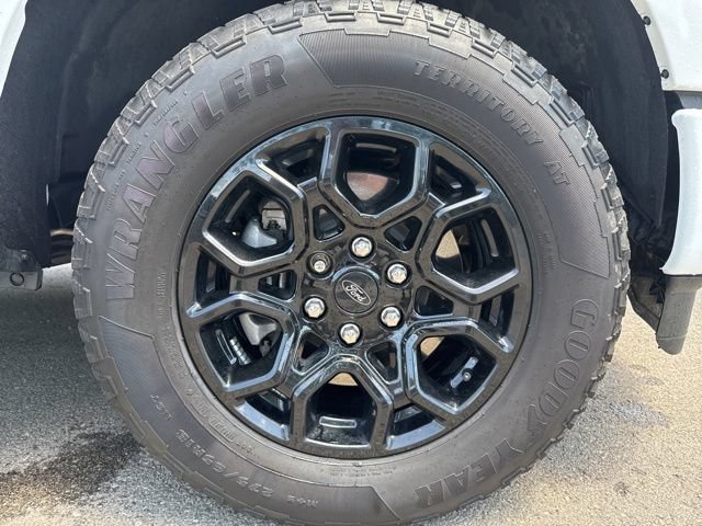 Used 2024 Ford F150 XLT w/ Equipment Group 302A MID AWD/4WD image 10