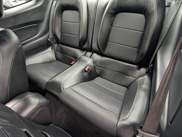 Used 2019 Ford Mustang Premium w/ Black Accent Package RWD image 11