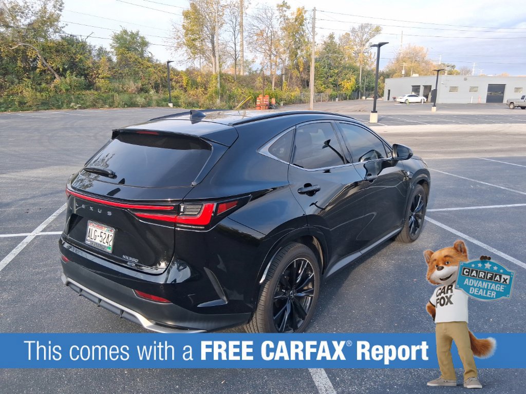 Used 2024 Lexus NX 350 F Sport AWD/4WD image 3