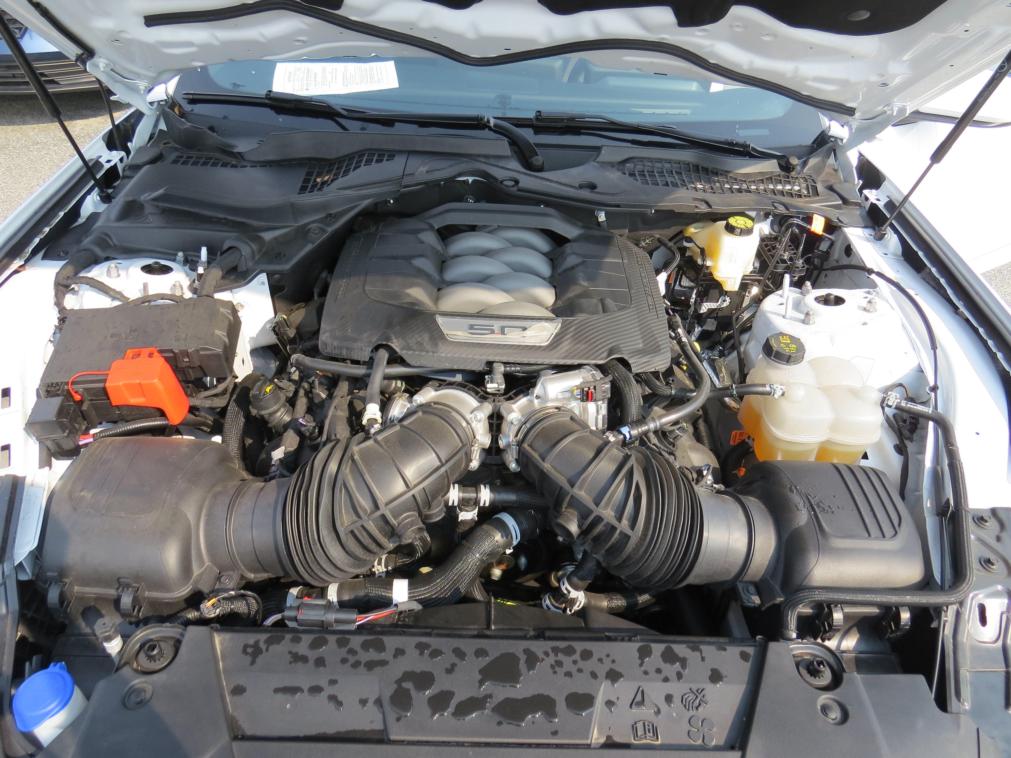 Used 2025 Ford Mustang GT RWD image 23