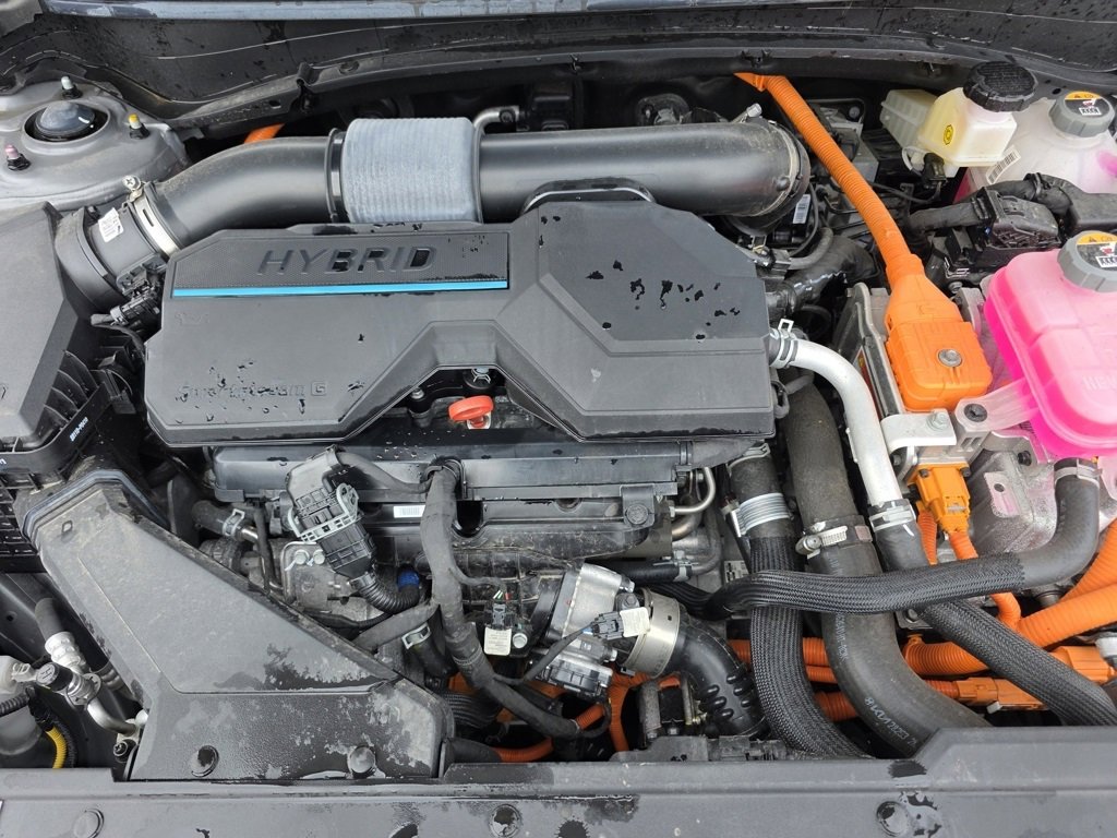 Used 2024 Kia Sportage LX image 10