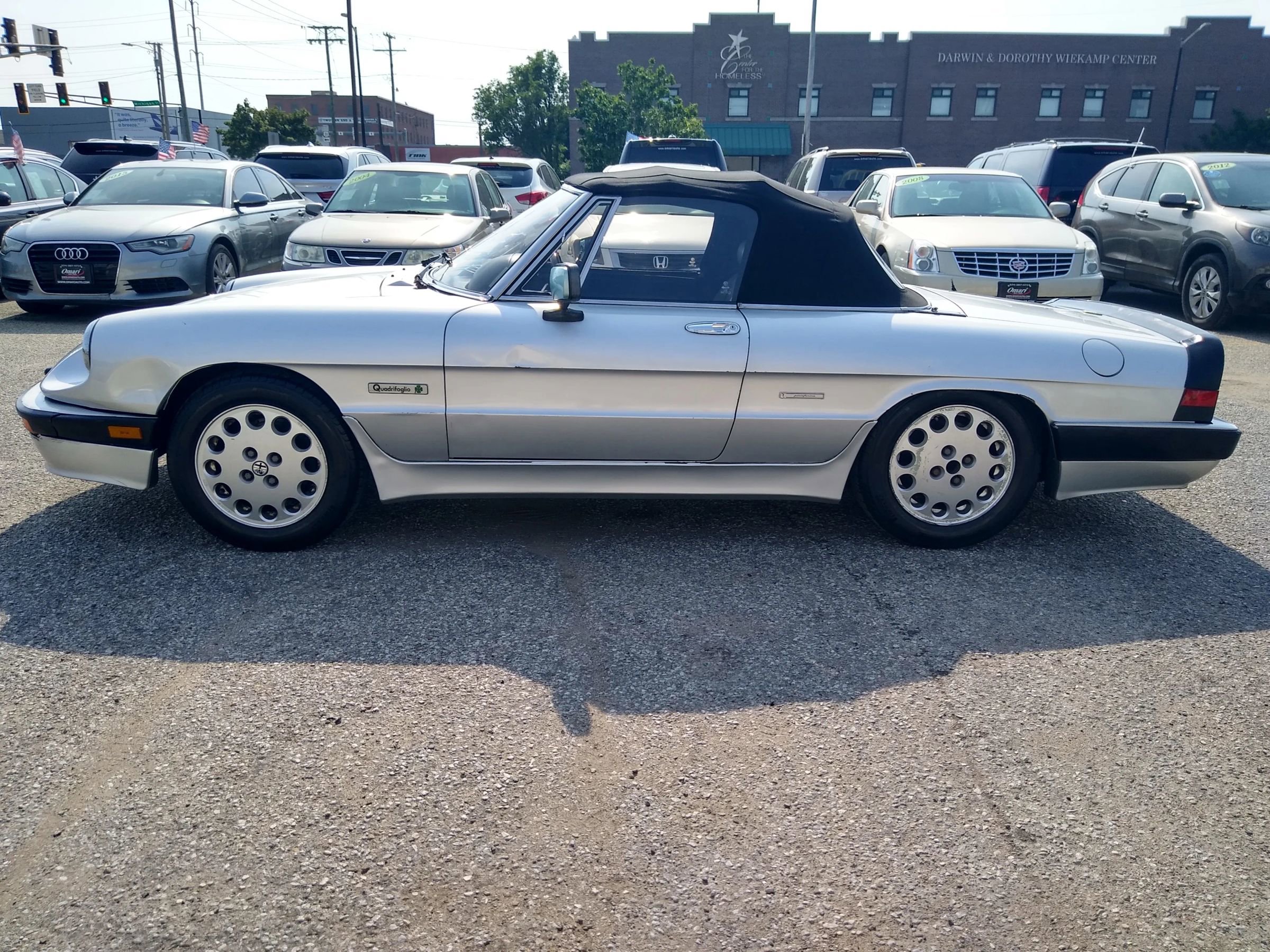 Used 1988 Alfa Romeo Spider Quadrifoglio image 9