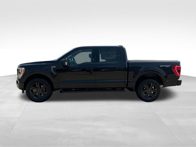 Used 2021 Ford F150 XLT w/ Equipment Group 302A High AWD/4WD image 3