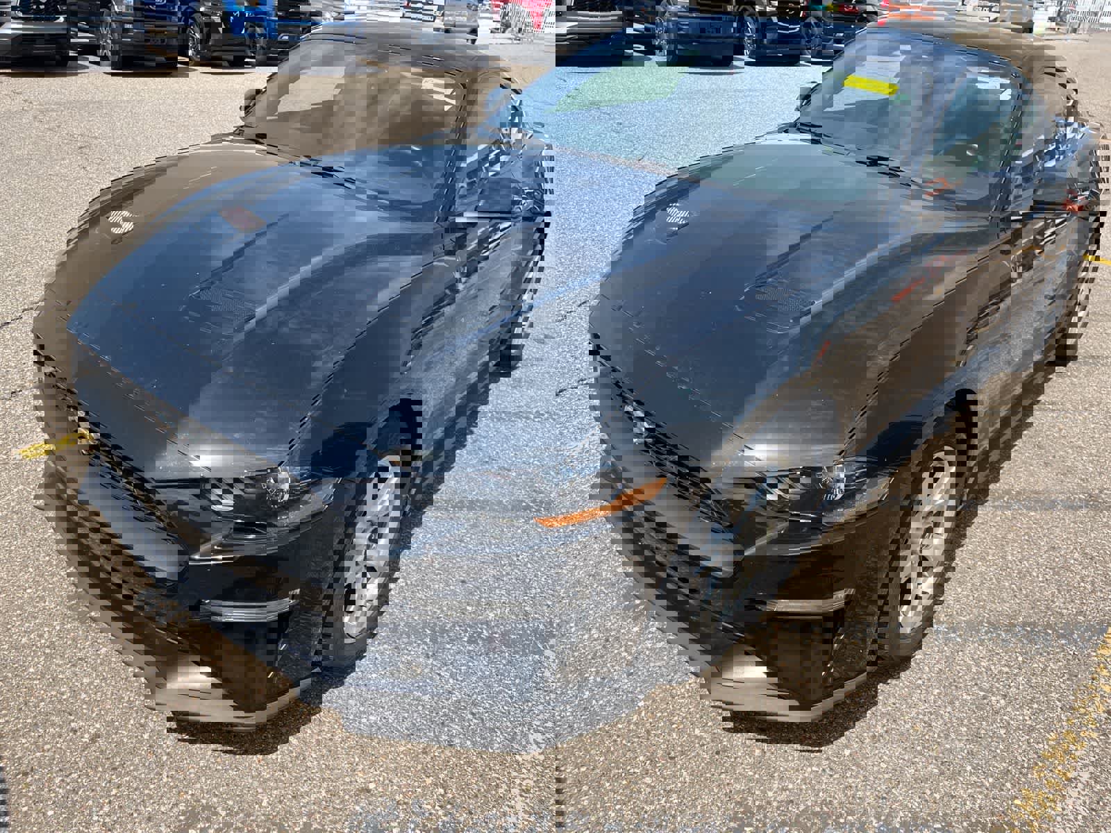 Used 2019 Ford Mustang Coupe RWD image 3