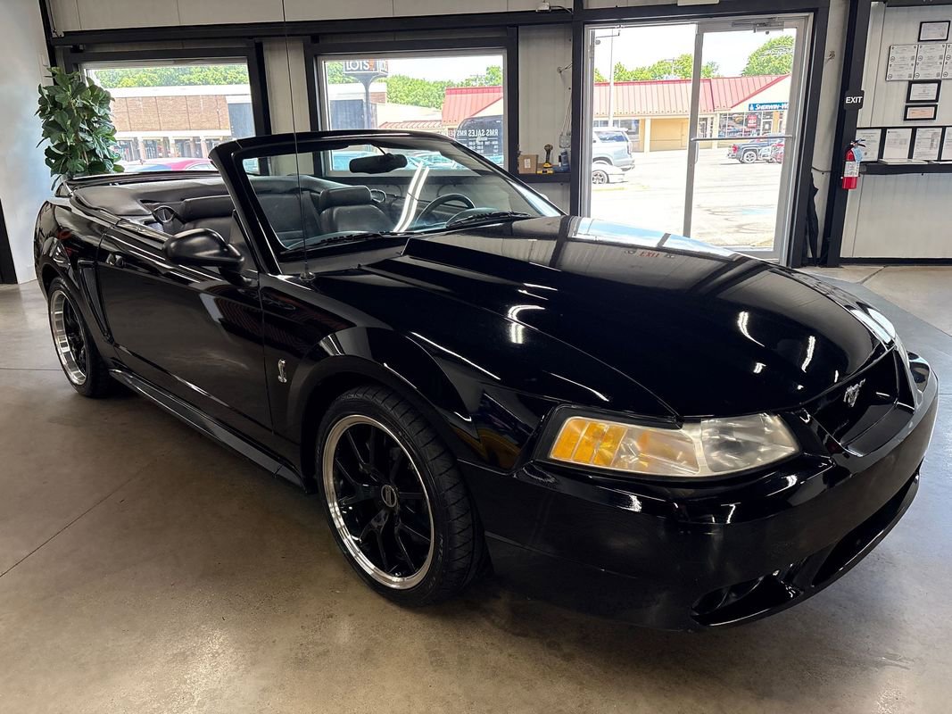 Used 1999 Ford Mustang Cobra RWD image 17