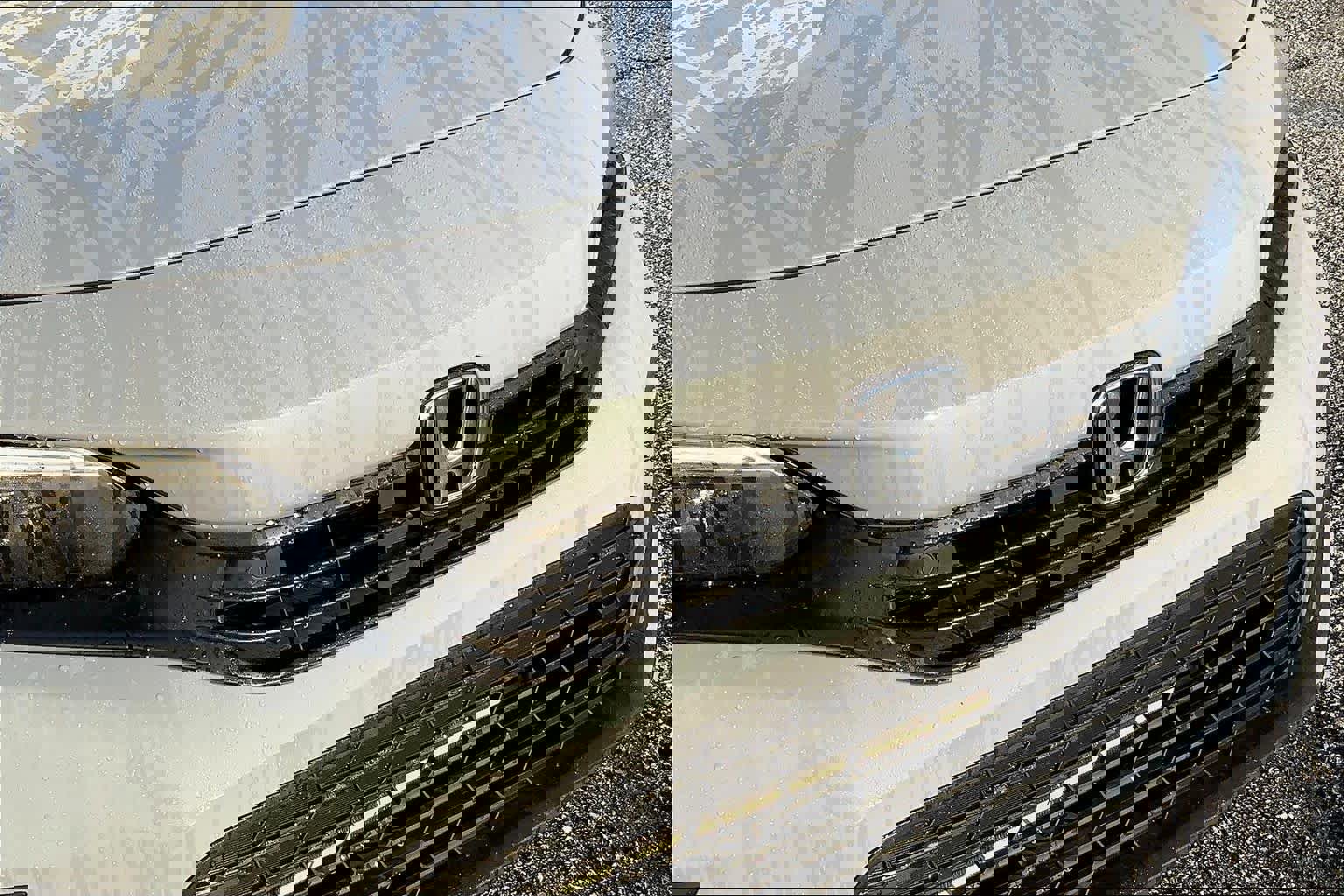 Used 2024 Honda Civic Touring image 29