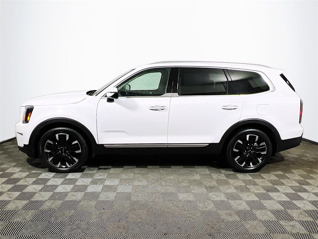 Used 2024 Kia Telluride SX Prestige image 5