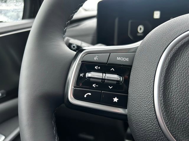 New 2026 Kia Carnival SX Prestige image 18