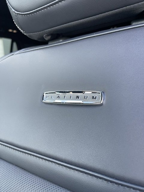 New 2025 Ford Expedition Max Platinum w/ Stealth Appearance Package image 12