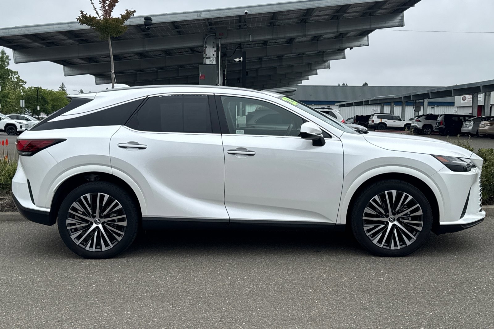 Used 2023 Lexus RX 350 w/ Cold Area Package AWD/4WD image 3