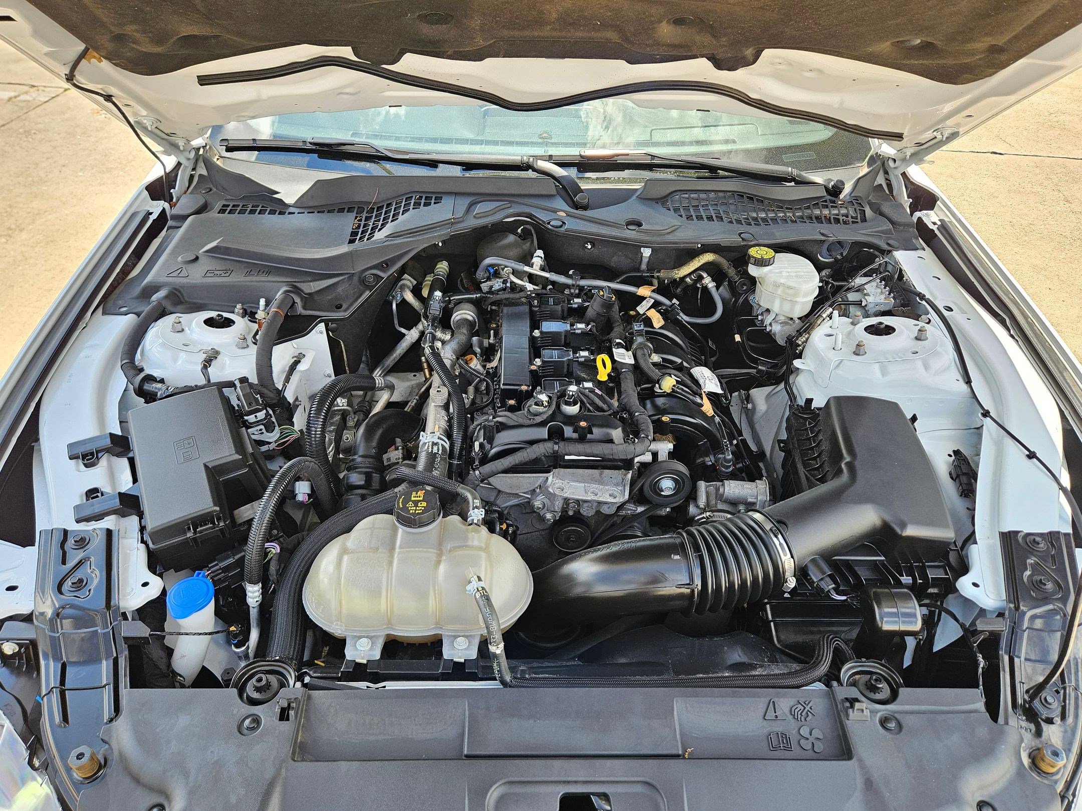 Used 2023 Ford Mustang Premium image 33
