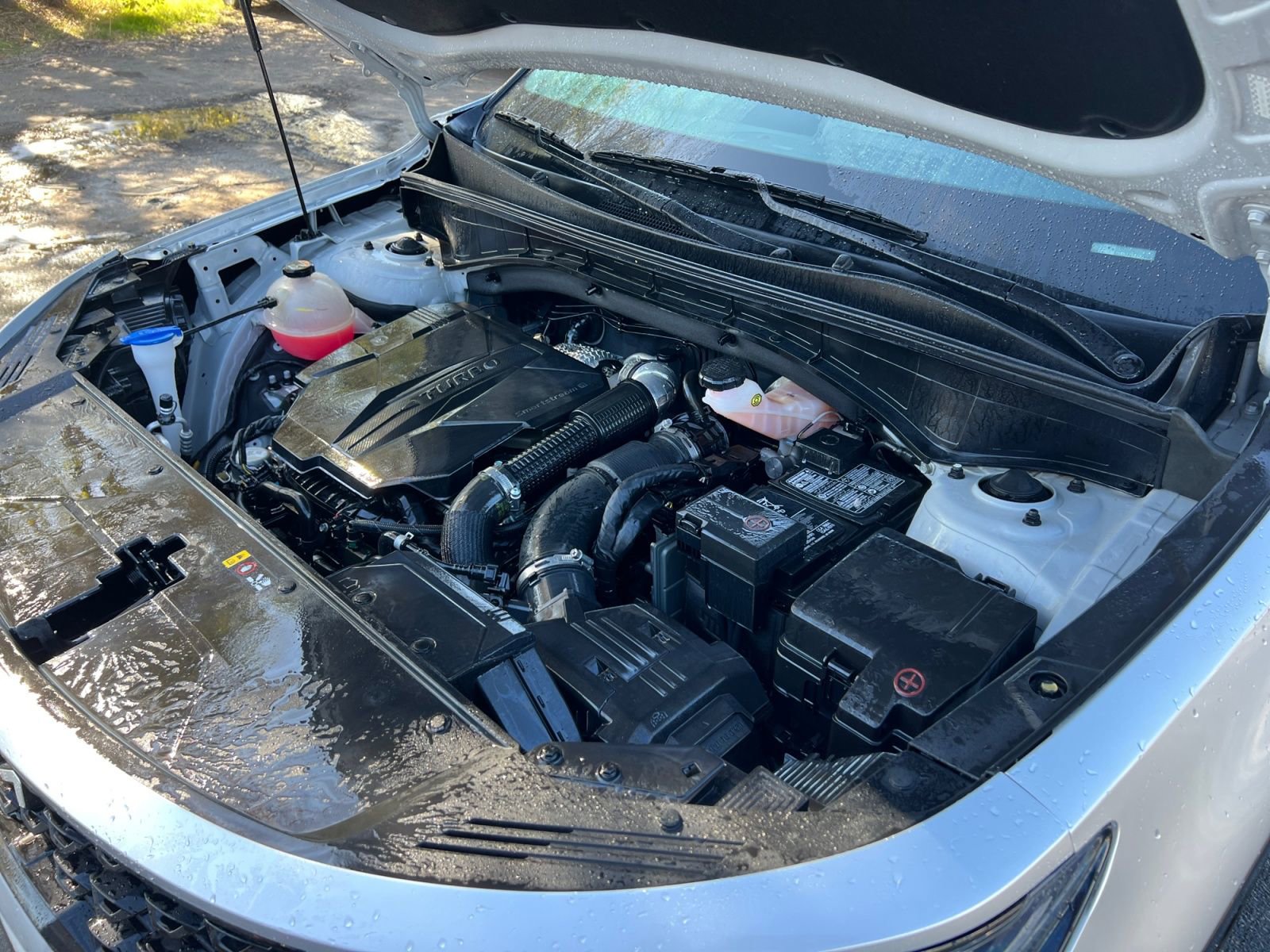 Used 2022 Kia Sorento SX image 41