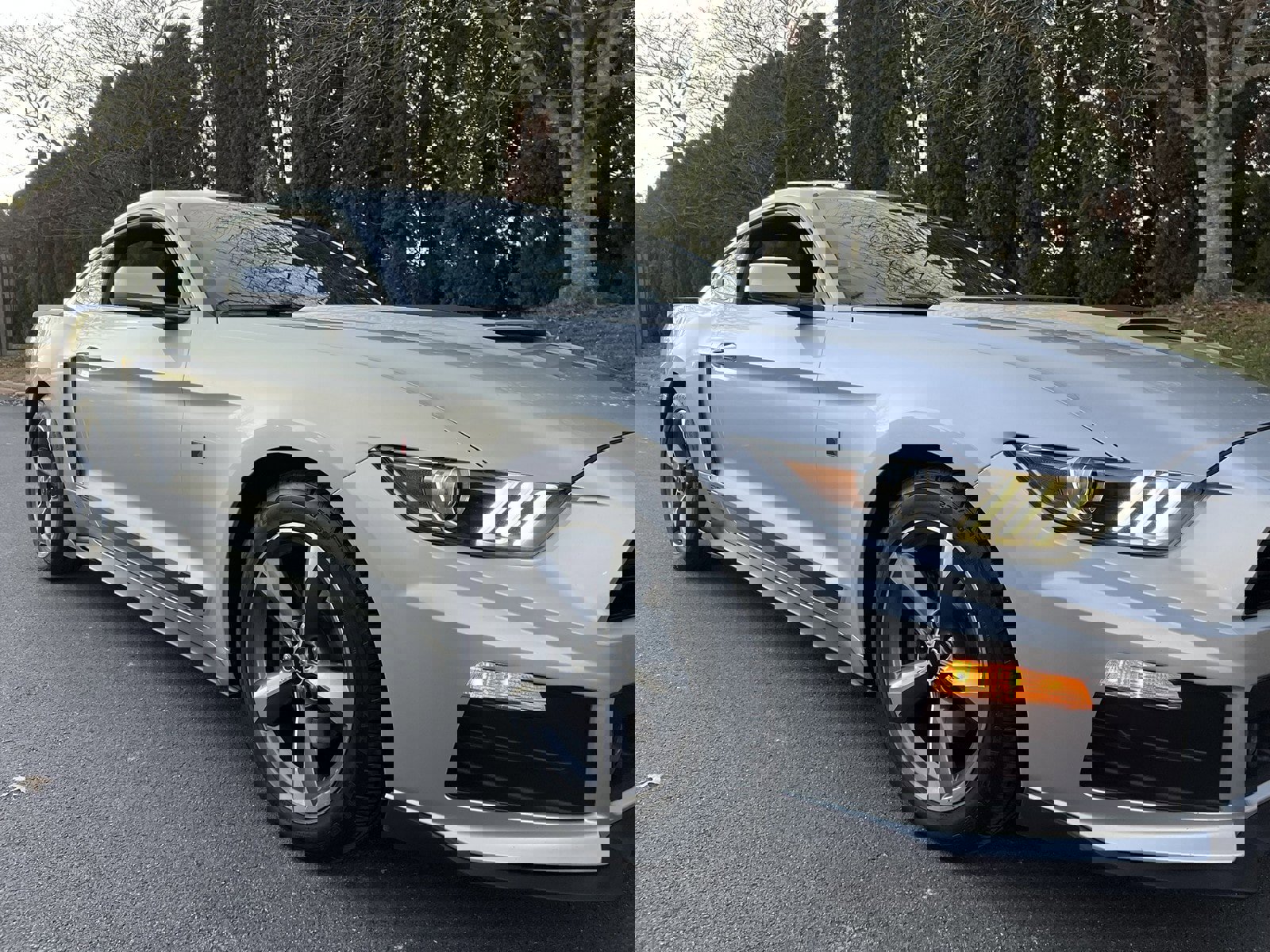 Used 2015 Ford Mustang Coupe w/ Equipment Group 051A image 59