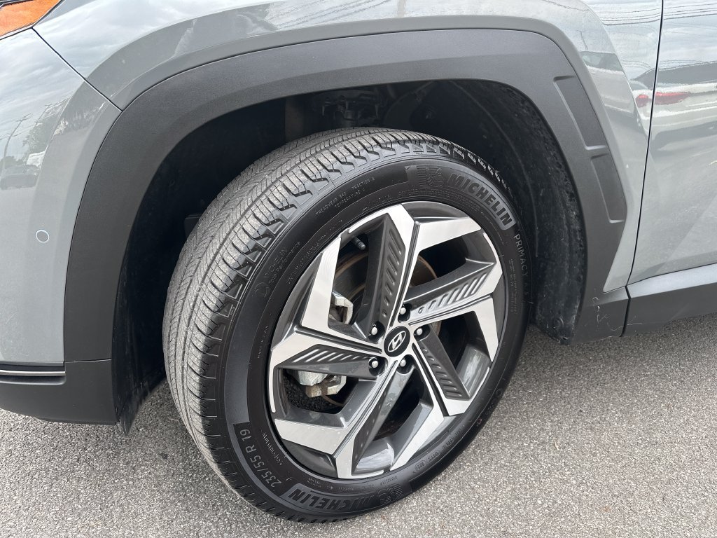 Used 2024 Hyundai Tucson Limited AWD/4WD image 7