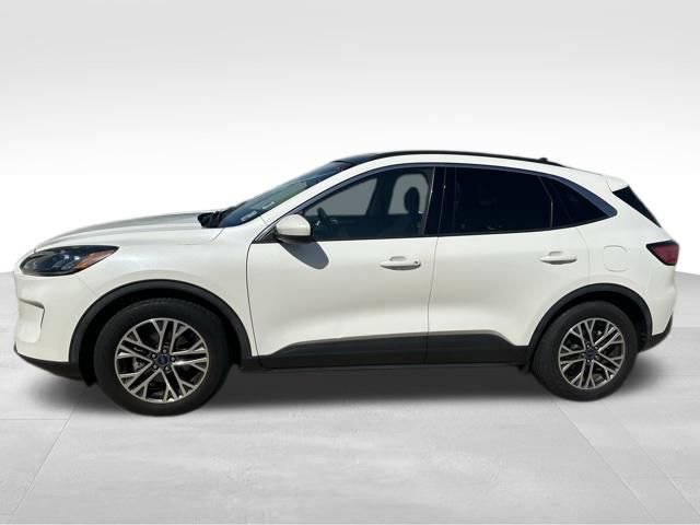 Used 2020 Ford Escape SEL image 5