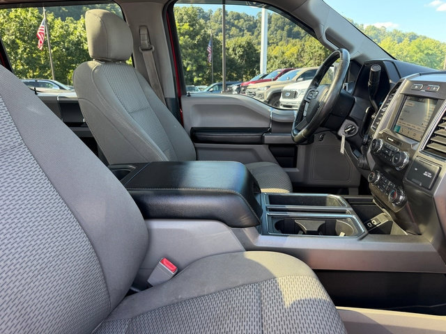 Used 2019 Ford F150 XLT w/ Equipment Group 302A Luxury AWD/4WD image 10