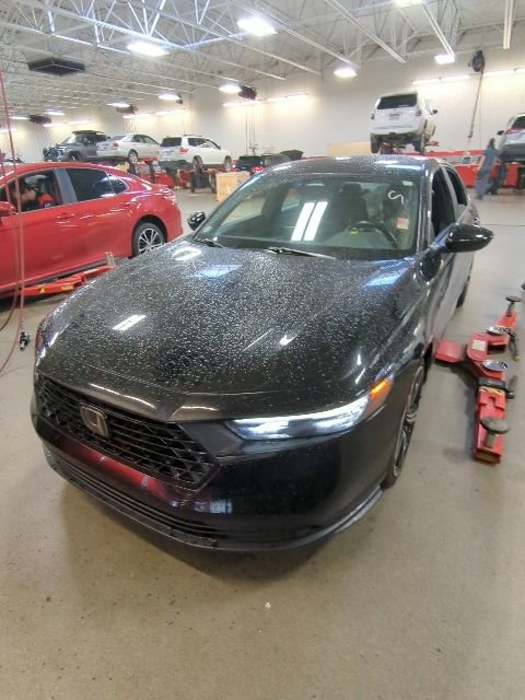 Used 2023 Honda Accord Sport image 4